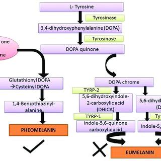 Systemic Glutathione as a Skin.